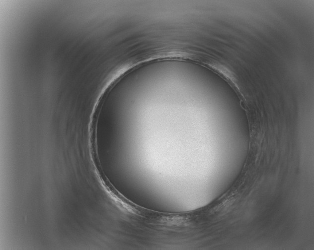 X0000059801135200511041620