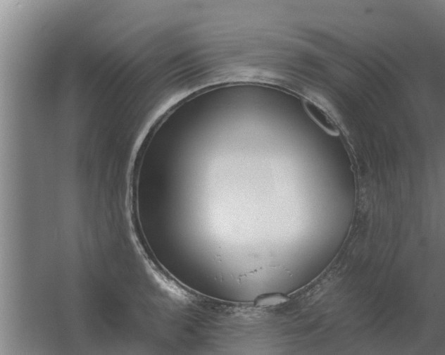 X0000059801136200511041620