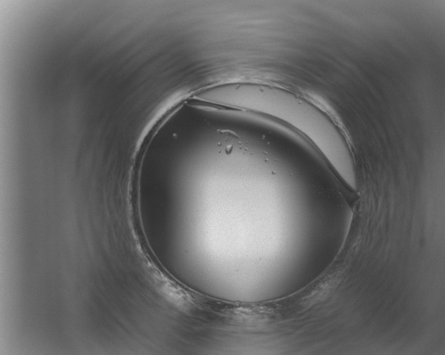 X0000059801138200511041620