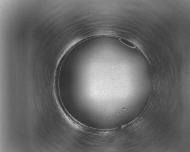 X0000059801139200511041620