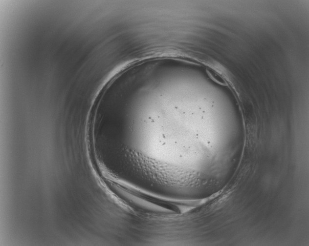 X0000059801142200511041620