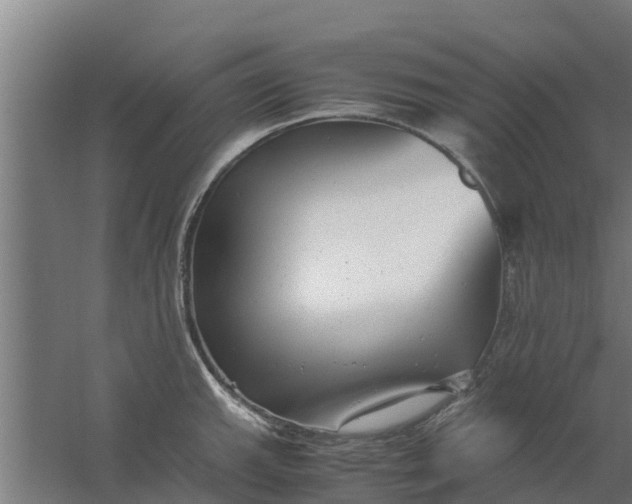 X0000059801143200511041620