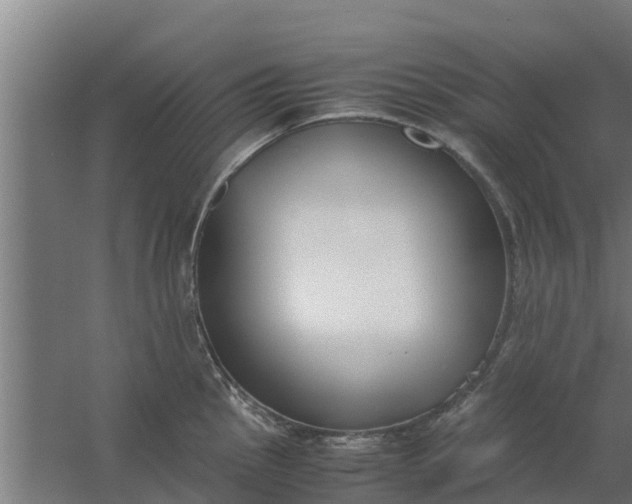 X0000059801145200511041620