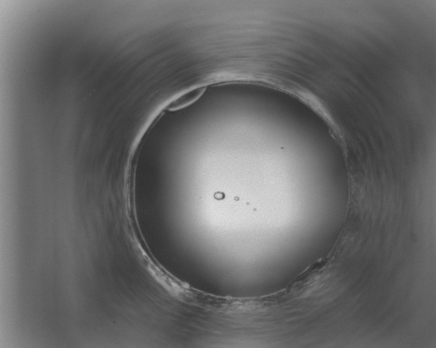 X0000059801148200511041620