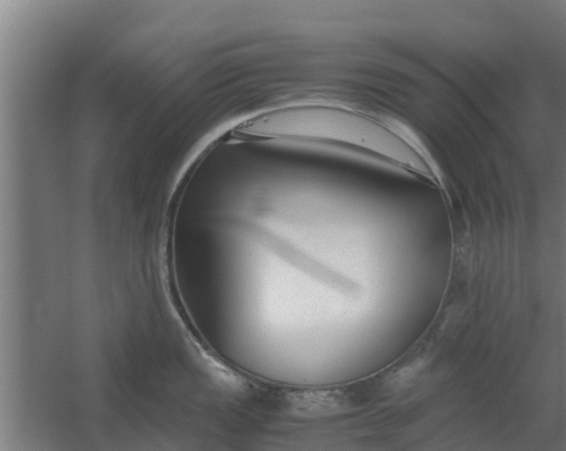 X0000059801149200511041620