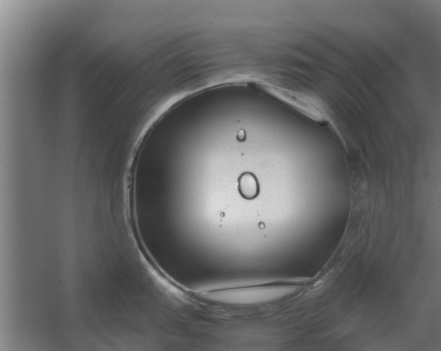 X0000059801151200511041620