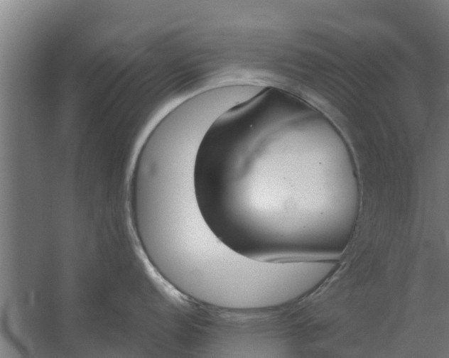 X0000059801152200511041620