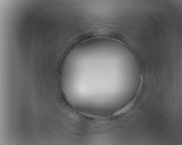 X0000059801153200511041619