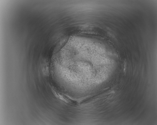 X0000059801154200511041619