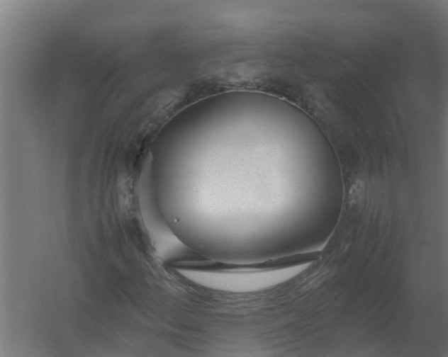 X0000059801156200511041619