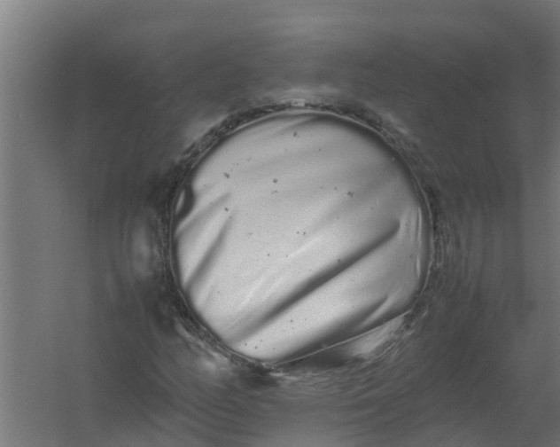 X0000059801158200511041619