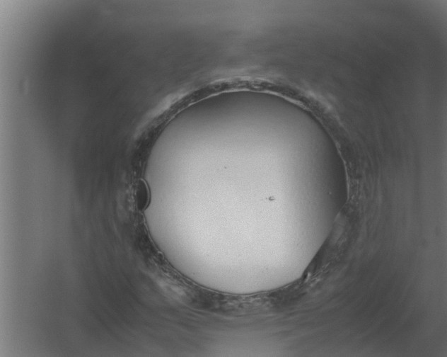 X0000059801159200511041619