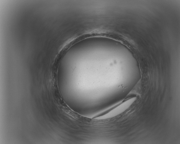 X0000059801160200511041619