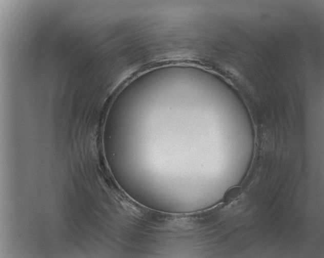 X0000059801162200511041619