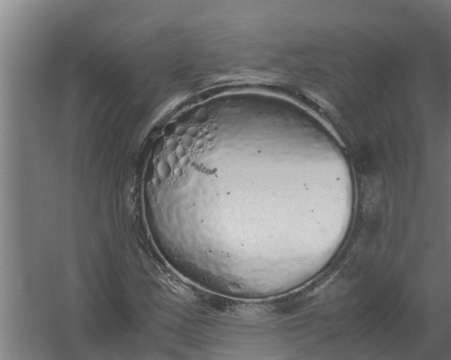 X0000059801163200511041619