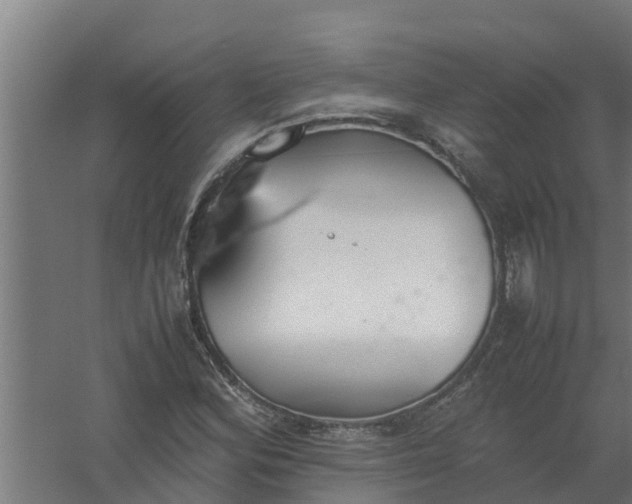 X0000059801164200511041619