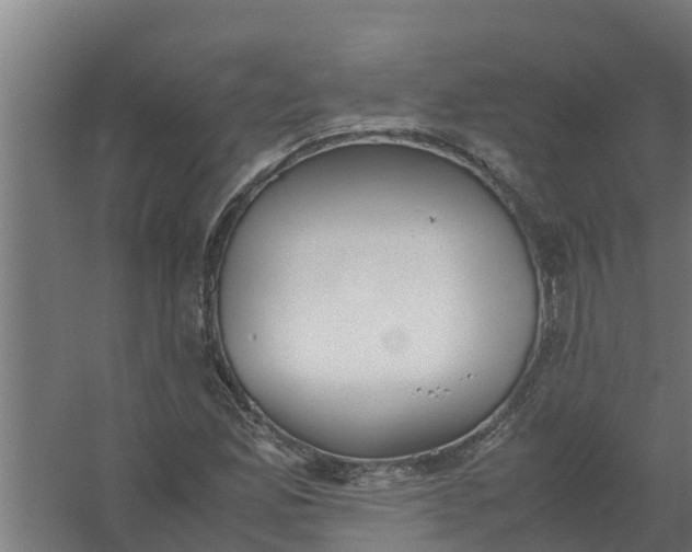 X0000059801165200511041619