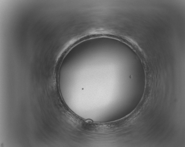 X0000059801167200511041619