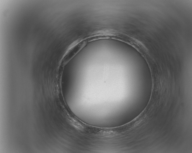 X0000059801168200511041619