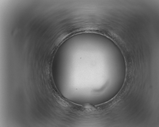 X0000059801169200511041619