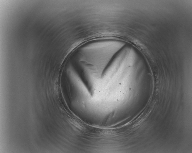 X0000059801170200511041619