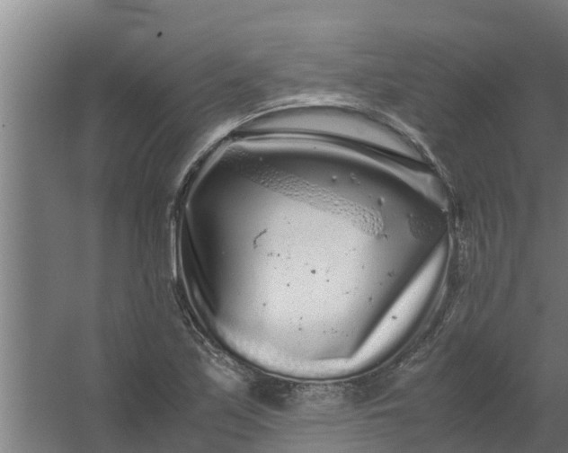 X0000059801171200511041619