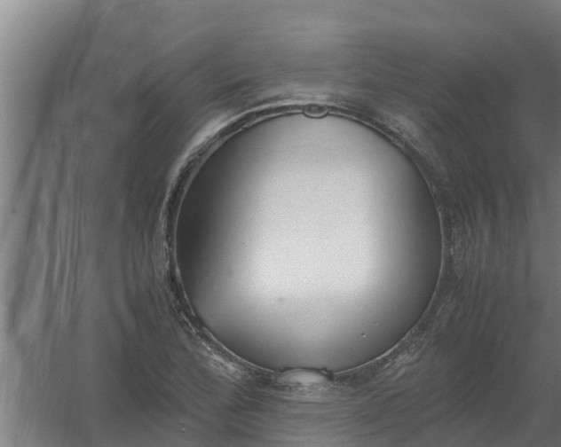 X0000059801172200511041619