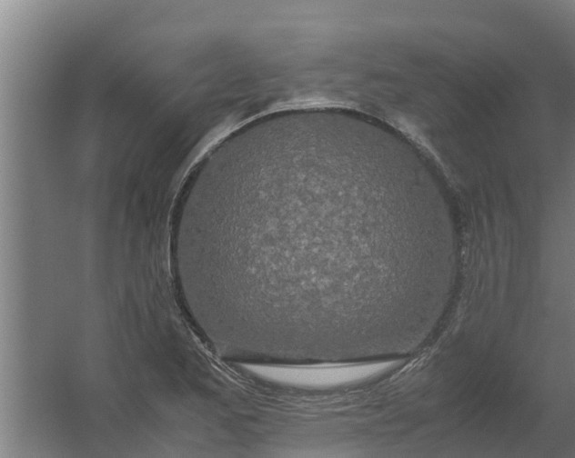 X0000059801173200511041619