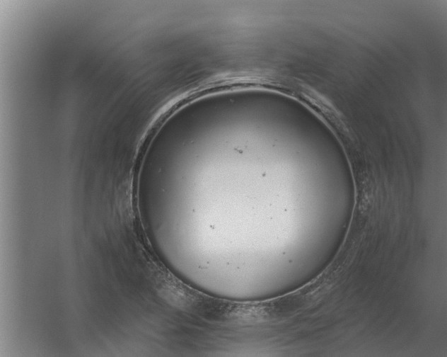 X0000059801174200511041619