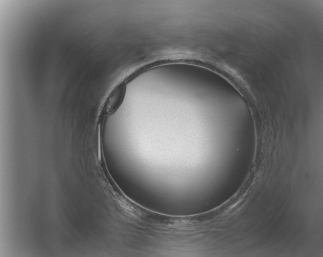 X0000059801175200511041619