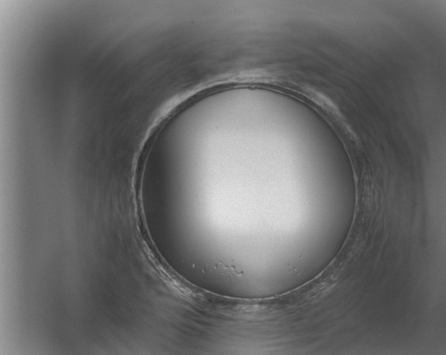 X0000059801176200511041619