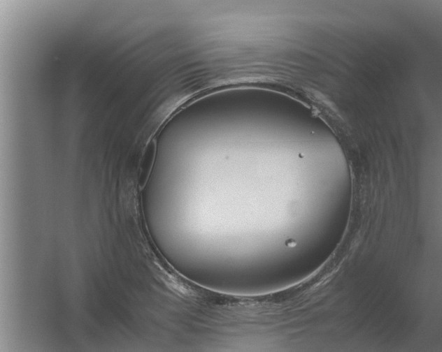 X0000059801177200511041619