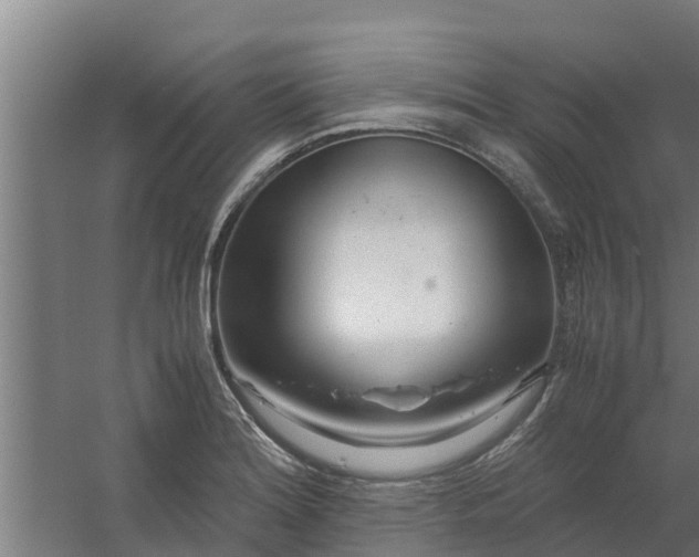 X0000059801180200511041619