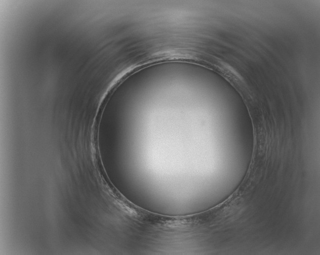 X0000059801182200511041619