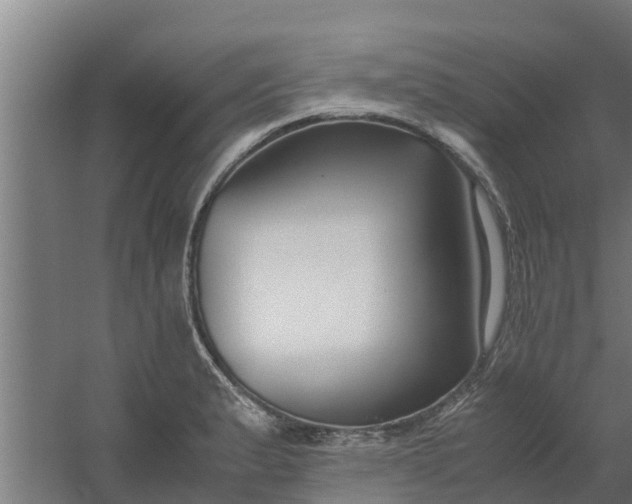 X0000059801183200511041619