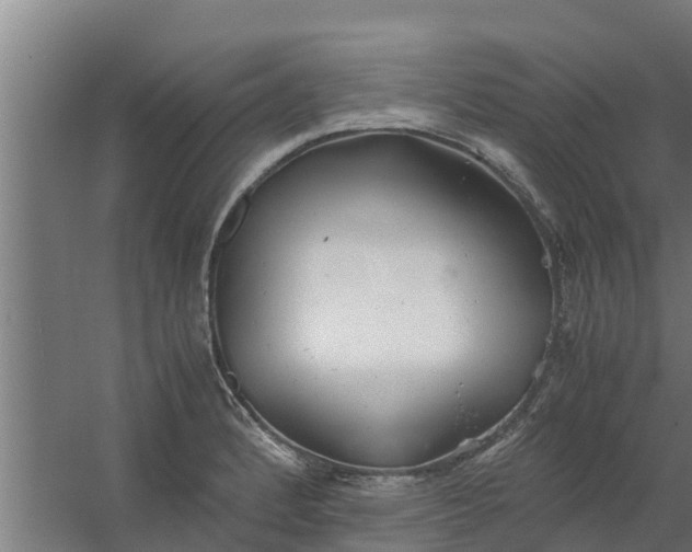 X0000059801184200511041619