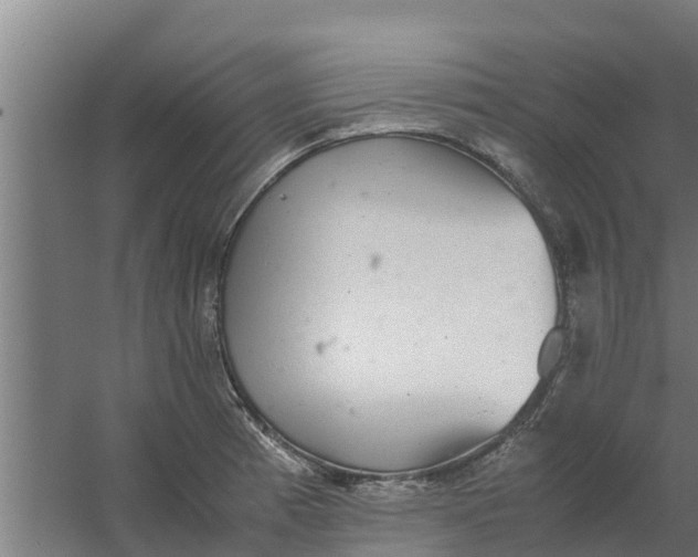 X0000059801185200511041619