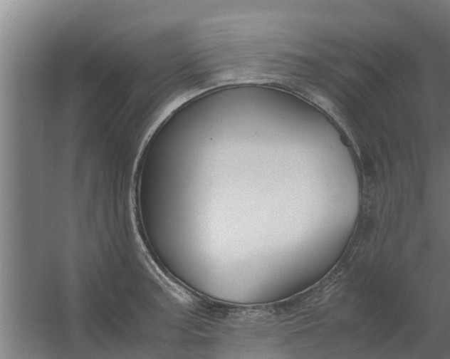 X0000059801187200511041619