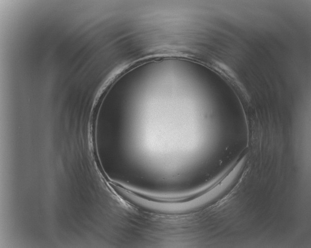 X0000059801188200511041619