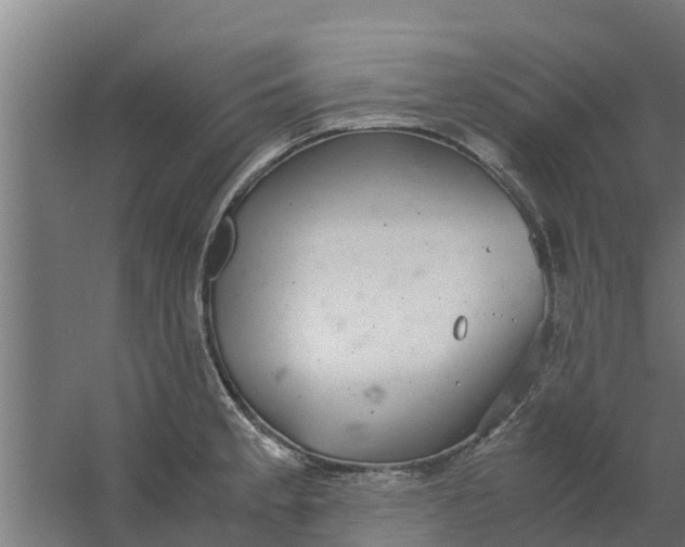 X0000059801189200511041619