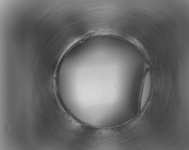 X0000059801190200511041619