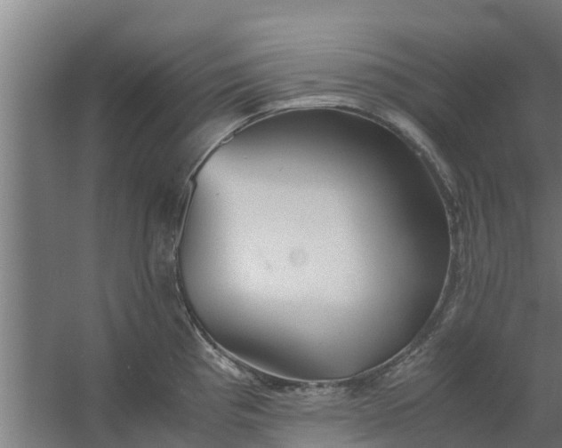 X0000059801193200511041619