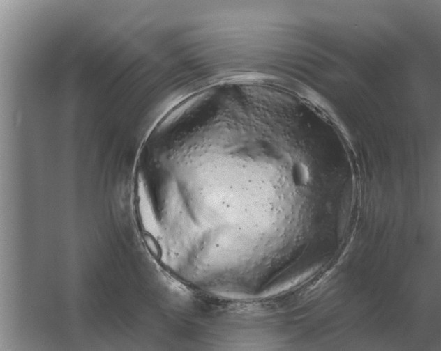 X0000059801194200511041619