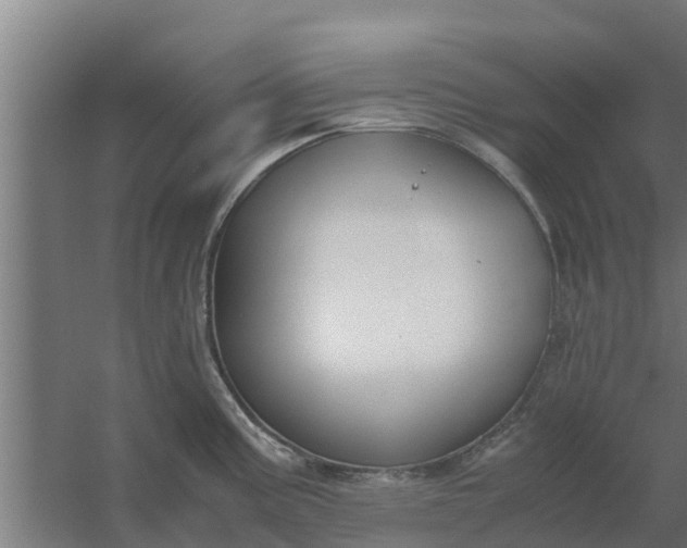 X0000059801195200511041619