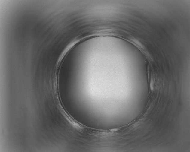 X0000059801196200511041619