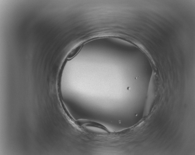 X0000059801197200511041619