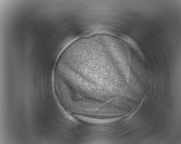 X0000059801198200511041619