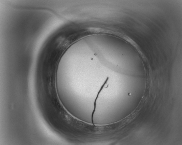 X0000059801199200511041619