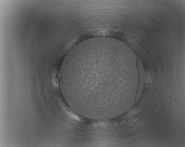 X0000059801202200511041618