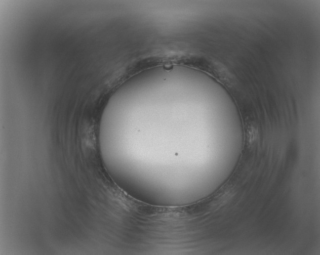 X0000059801204200511041618